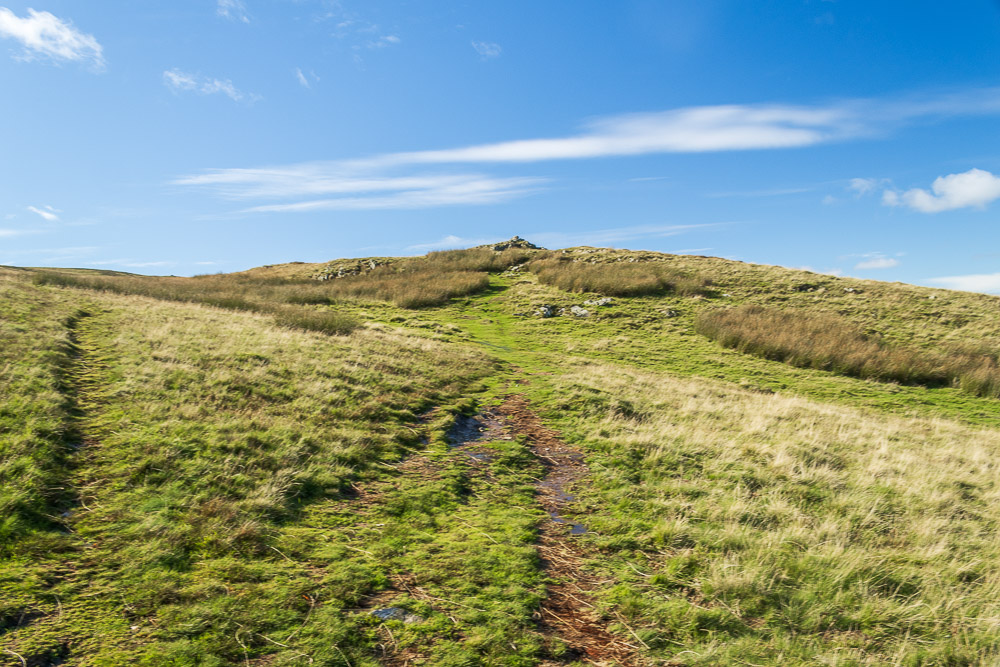 Loup Knott